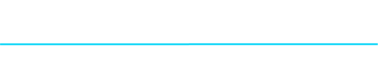 AI and Identity Workshop